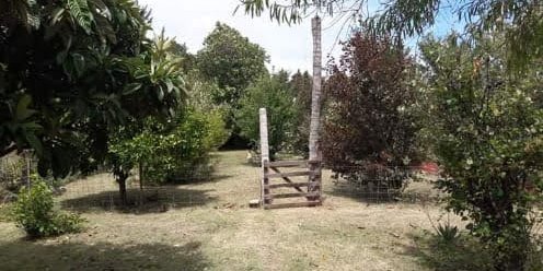 Casa en Venta en Orense con 2 dorm. y 500 m2 totales - imagen 3