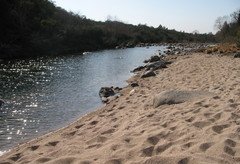 camino de los pioneros, Alta Gracia
