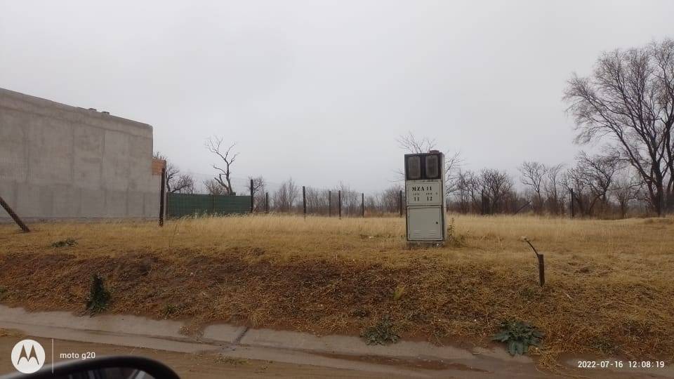 foresta , Río Cuarto