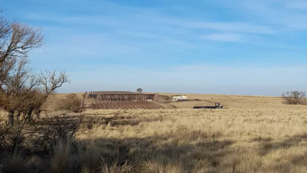 5 hectáreas en venta,Estancia Grande,San Luis - Imagen 1