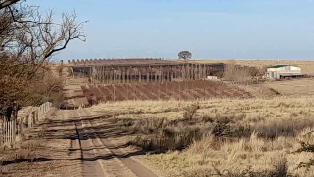 5 hectáreas en venta,Estancia Grande,San Luis - Imagen 4