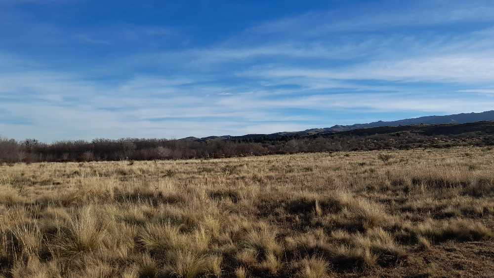Chacra en Venta Ruta 18, San Luis - Imagen 7