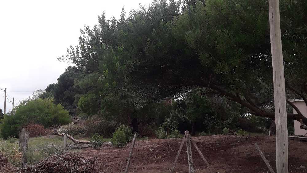 Terreno En Venta - Terreno en Venta en Mar de Ajo - imagen 2