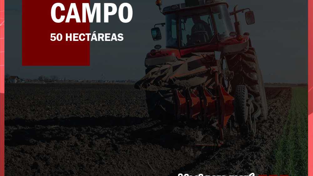 ALQUILO CAMPO AGRÍCOLA - Imagen 1