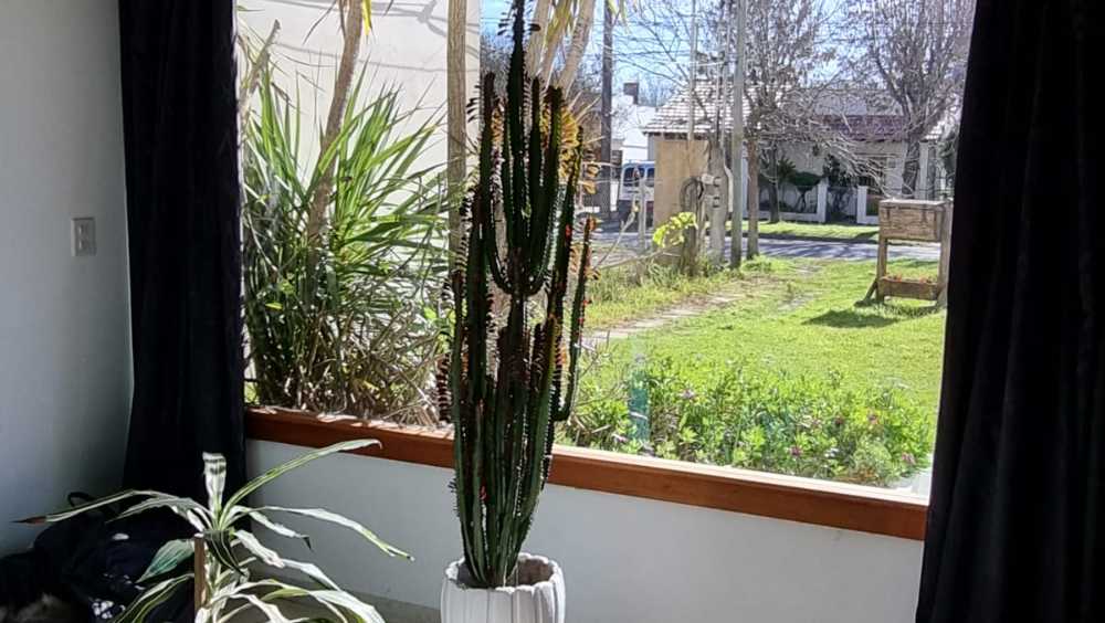 Casa De Dos Plantas, En Localidad Super Tranquila Y Agradable - Casa en Venta en Veronica con 3 dorm., 6 amb., 220 m2 cubiertos y 596 m2 totales - imagen 10