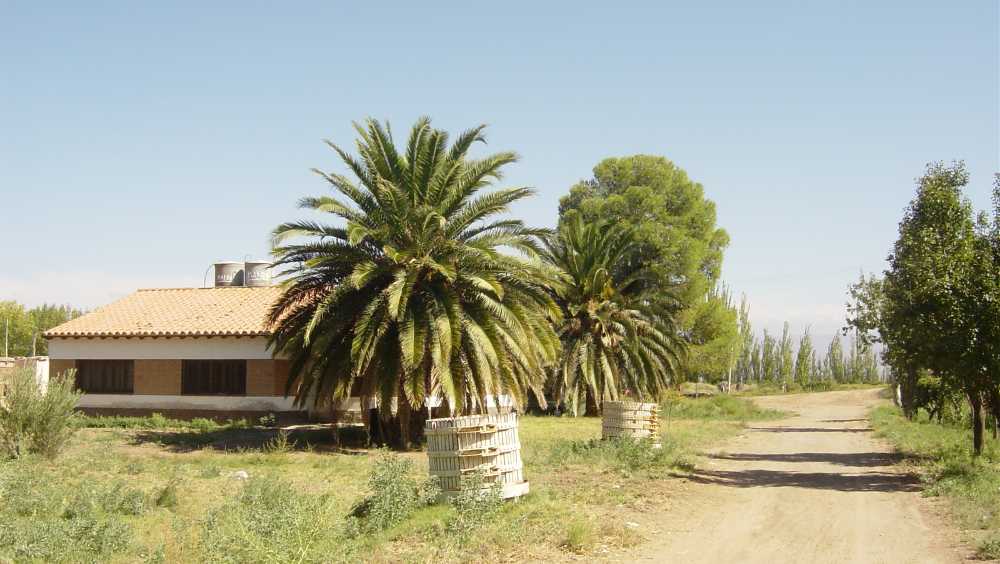 Oportunidad: Campo en Venta en Las Heras · dueño directo · 5 ha - Imagen 1