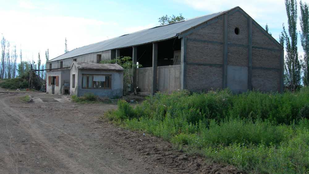 Bodega,viedo Y Casa Chalet - Campo en Venta en Las Heras con 5 ha - imagen 5
