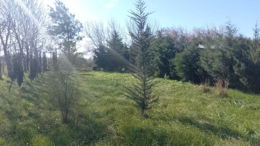 Comprar Casa en Alvarez · dueño directo · 855 m² de lote - Imagen 2