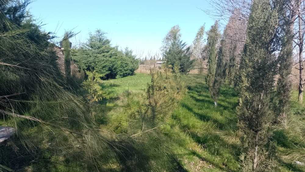 Comprar Casa en Alvarez · dueño directo · 855 m² de lote - Imagen 4