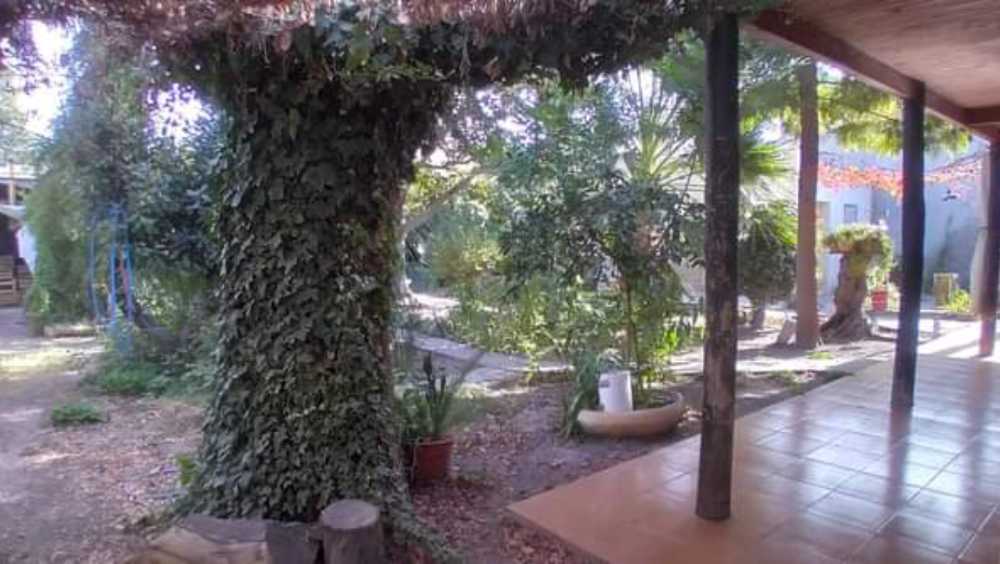 Casa única en General Alvear en Venta · dueño directo · 3 dorm · 3 cocheras · 800 m² de lote - Imagen 3