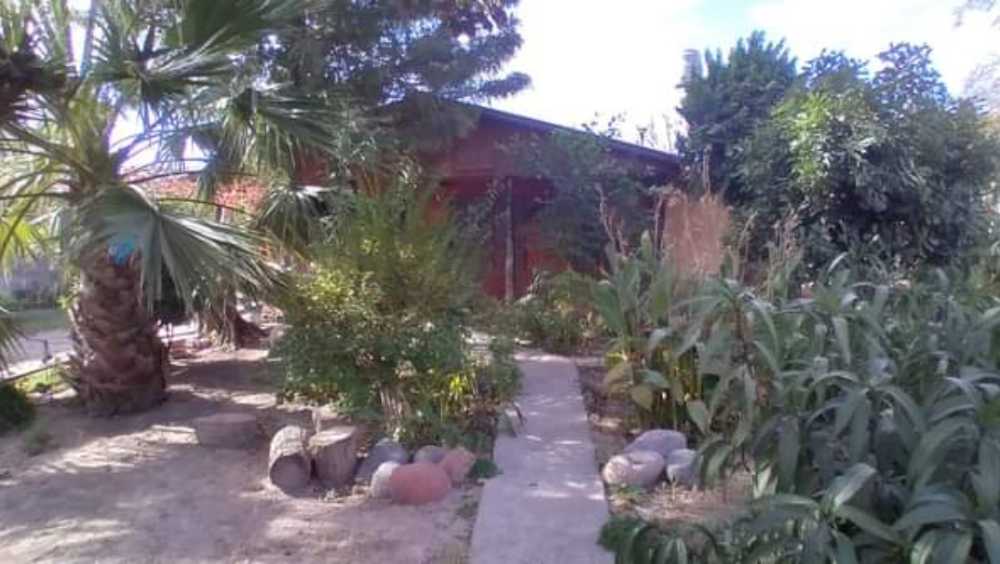 Excelente Pripiedad Con 2 Viviendas - Casa en Venta en General Alvear con 3 dorm., 6 amb., 280 m2 cubiertos y 800 m2 totales - imagen 6