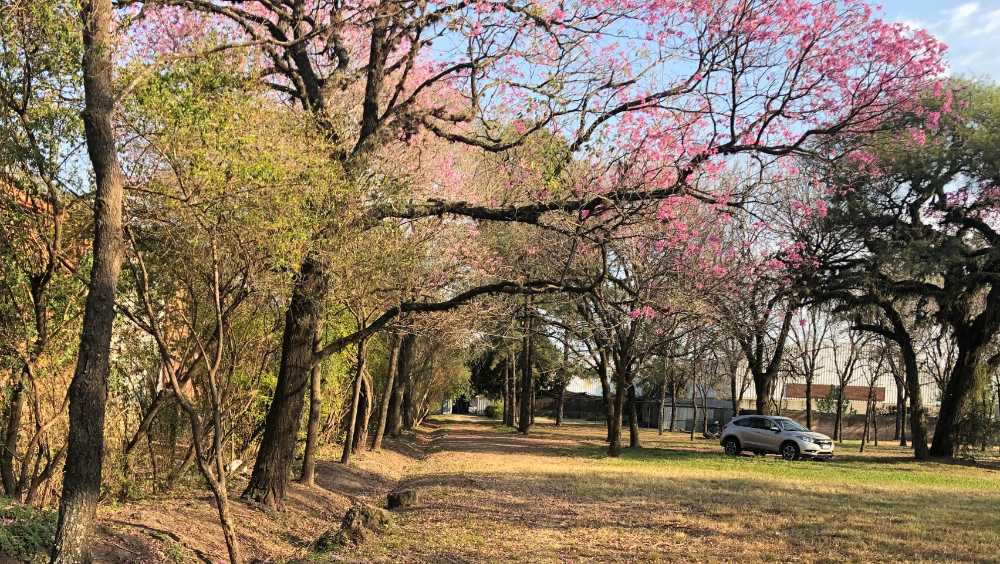 Excelente Campo en Resistencia en Venta · dueño directo · 3 dorm · 1 ha - Imagen 1