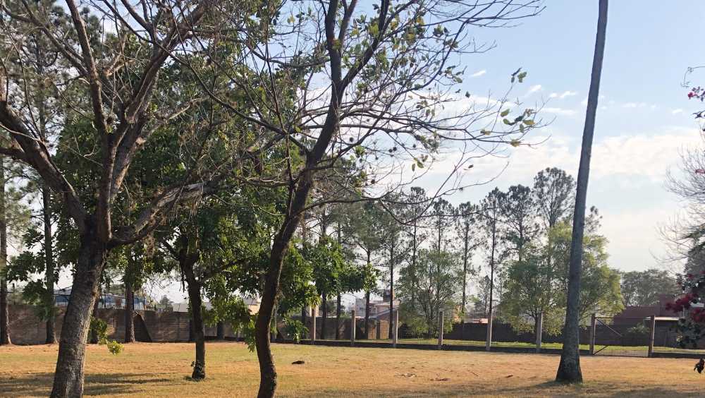 Excelente Campo en Resistencia en Venta · dueño directo · 3 dorm · 1 ha - Imagen 2