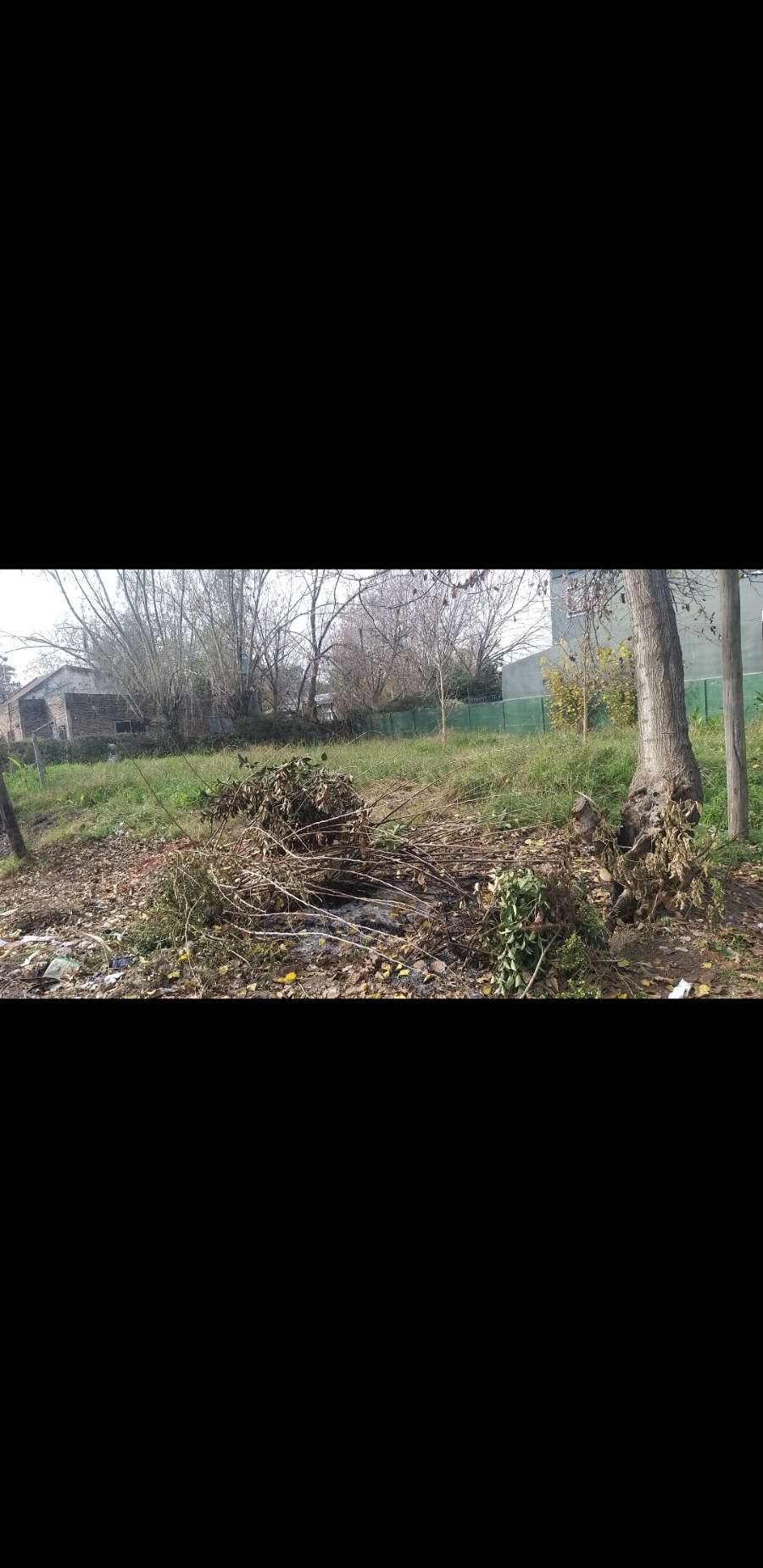 Terreno en venta tristán suarez - Imagen 1