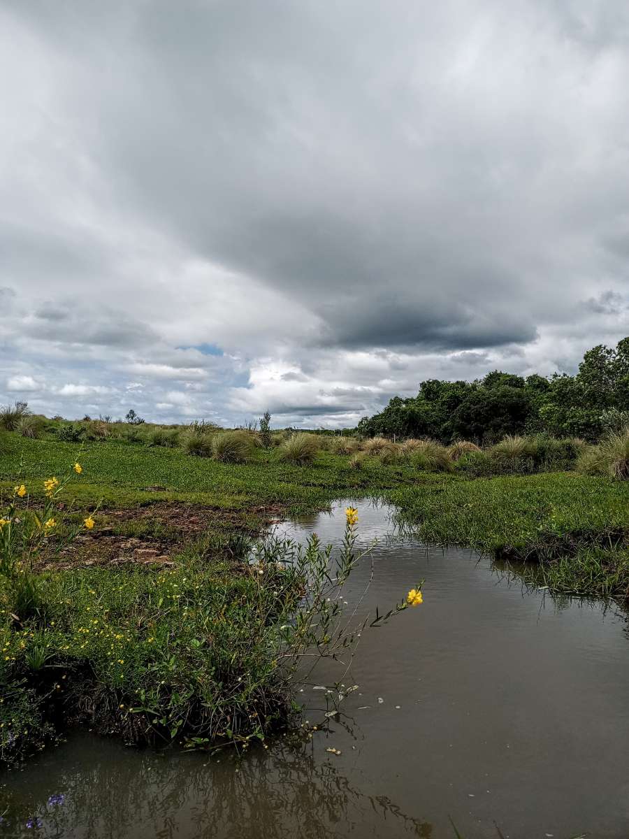 Hermoso campo en la provincia de Misiones. - Imagen 2