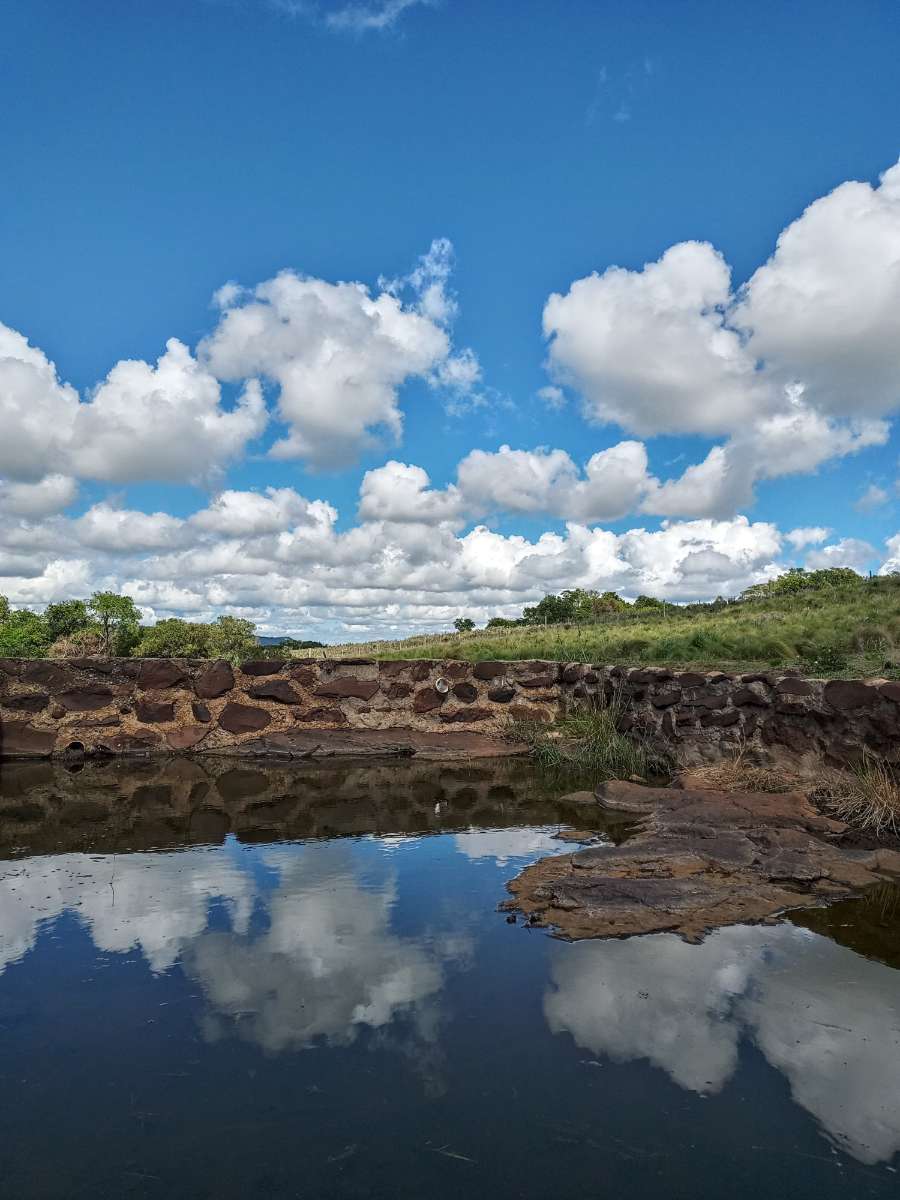 Hermoso campo en la provincia de Misiones. - Imagen 4