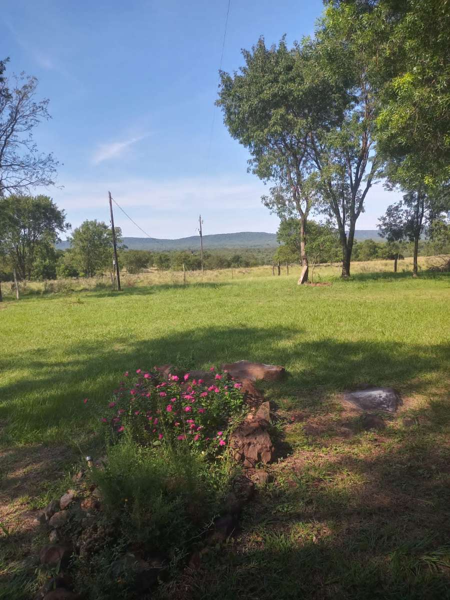 Hermoso Campo En La Provincia De Misiones. - Campo en Venta en Posadas con Ganadero y 25 ha - imagen 11