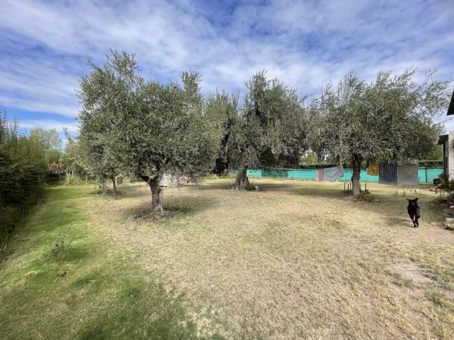 Vendo Casa Moderna En San Rafael, Mendoza, Con 2255 Mts De Terreno. - Casa en Venta en San Rafael con 2 dorm. y 180 m2 cubiertos - imagen 8