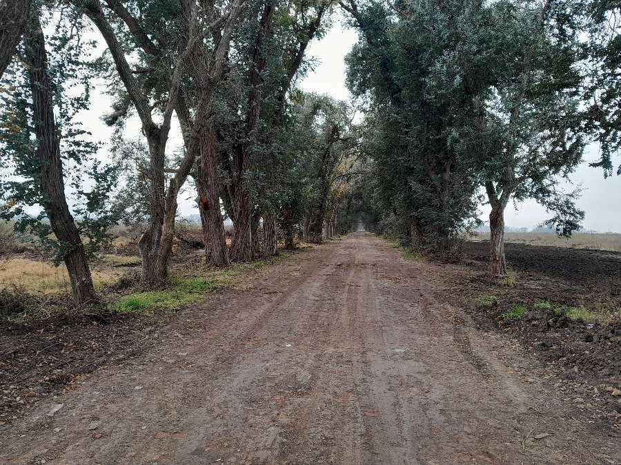 Lote de 1500mts2 Barrio Parque Robles 2 - Imagen 3