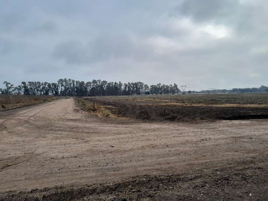 Lote de 1500mts2 Barrio Parque Robles 2 - Imagen 4