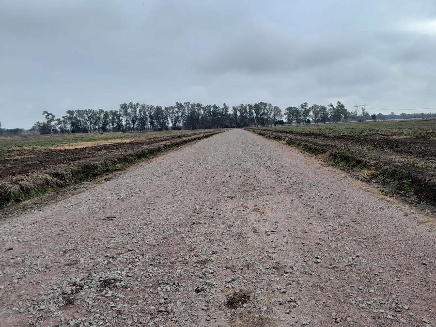 Lote de 1500mts2 Barrio Parque Robles 2 - Imagen 5