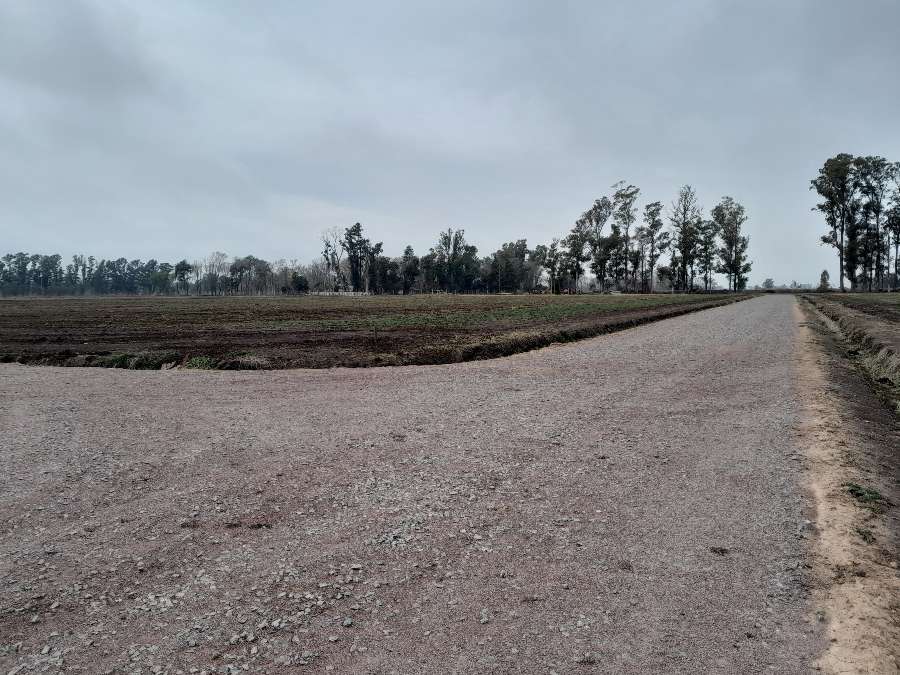 Emp. Vertical en Venta Parada Robles, Fatima - Imagen 10