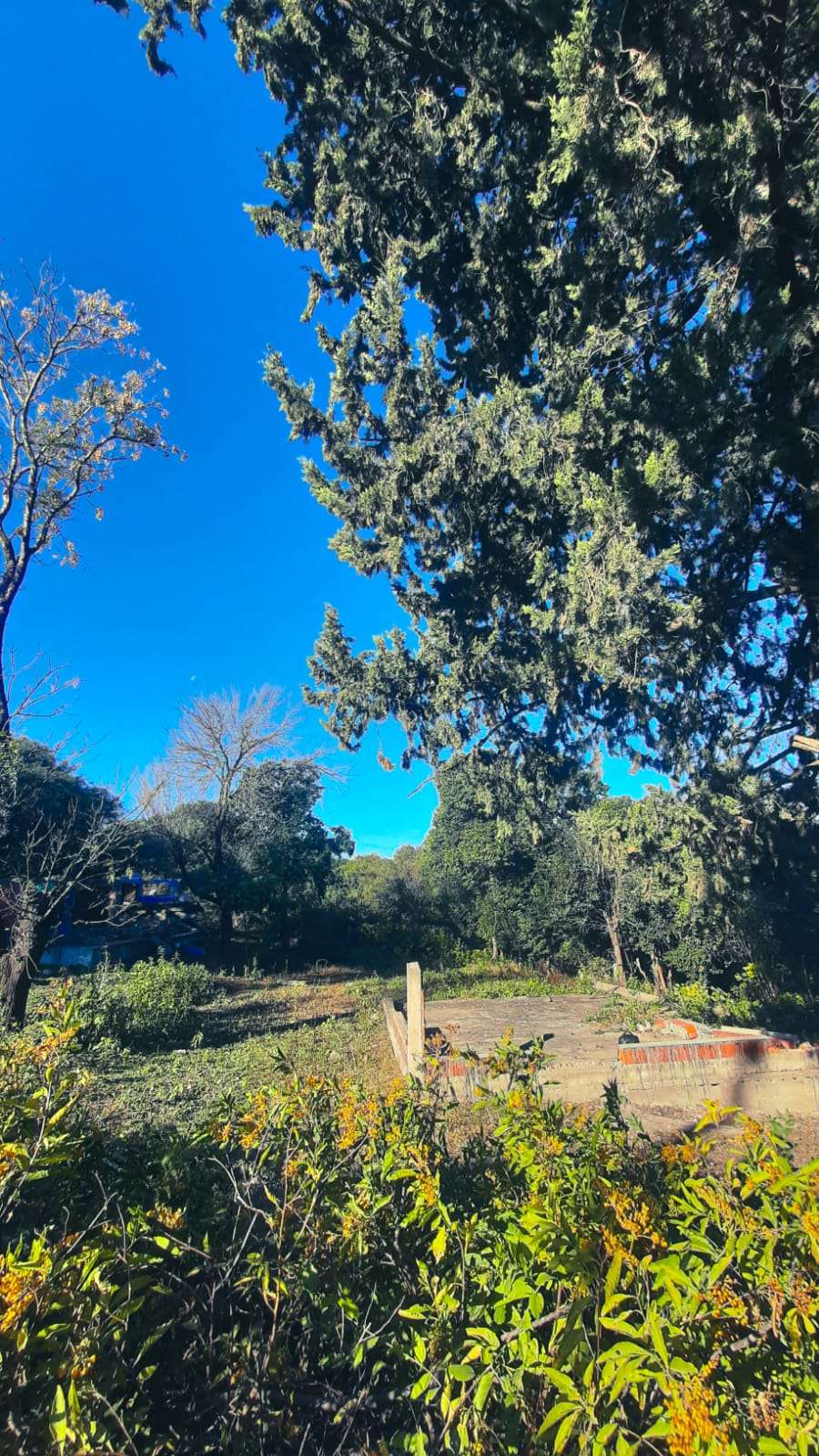 TERRENO EN VENTA - Imagen 4