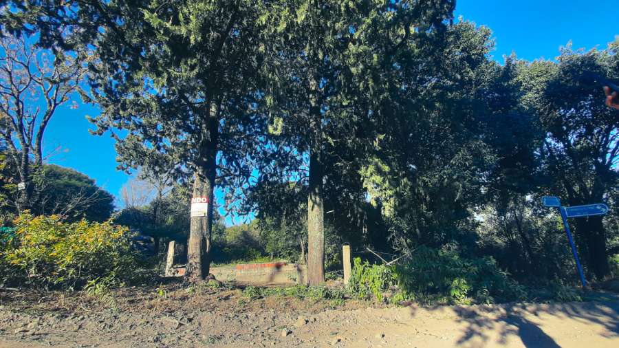 TERRENO EN VENTA - Imagen 5