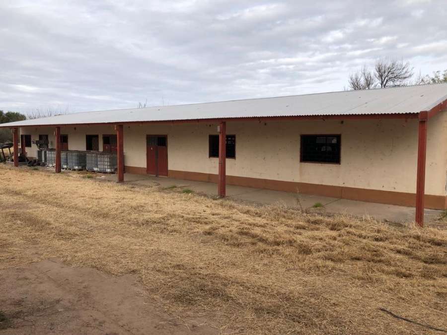 Finca Nueva California - Oportunidad Estratégica en el Corazón del Valle Central - Imagen 4