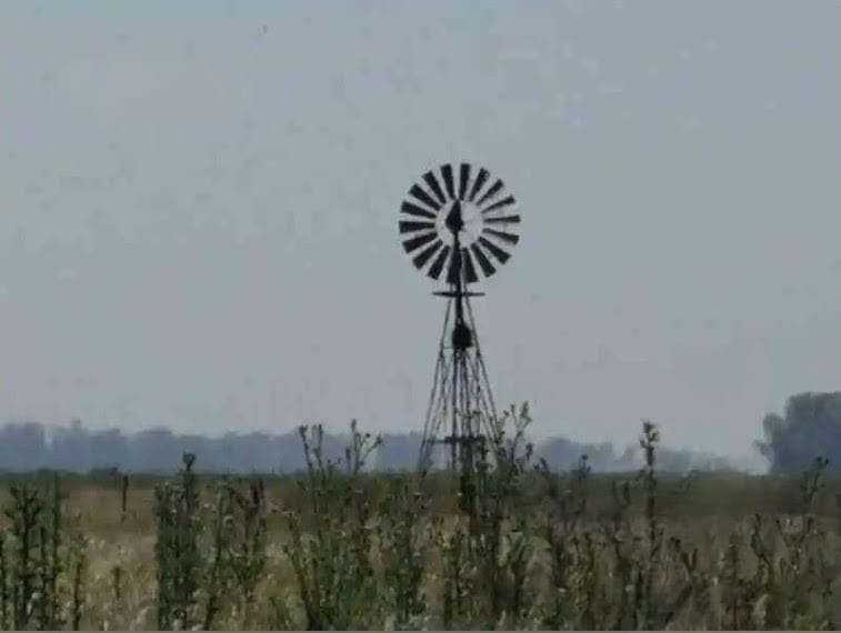 CAMPO EN GENERAL GUIDO - Imagen 5