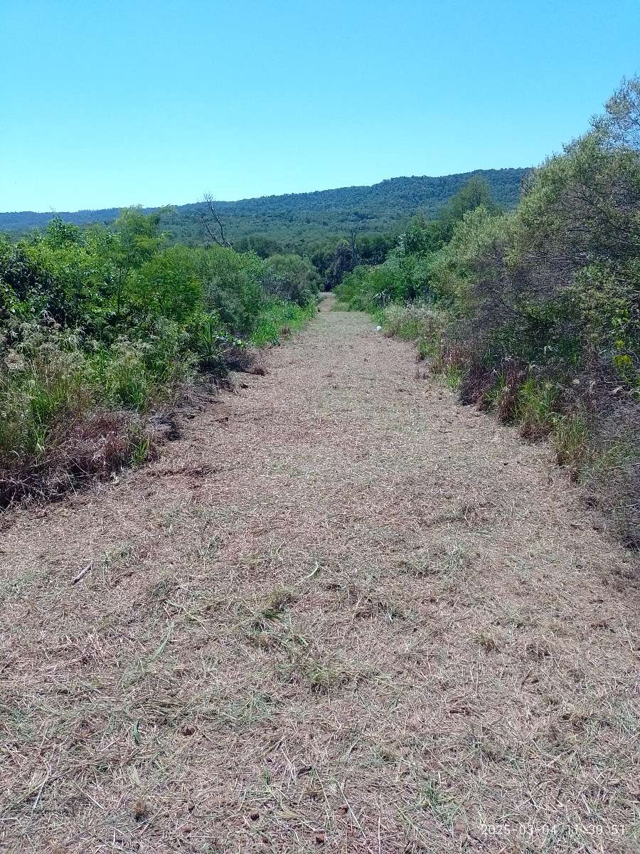 Comprar Terreno en Garupa · frente 12 m · largo 80 m · 1 m² de lote · dueño directo - Imagen 2