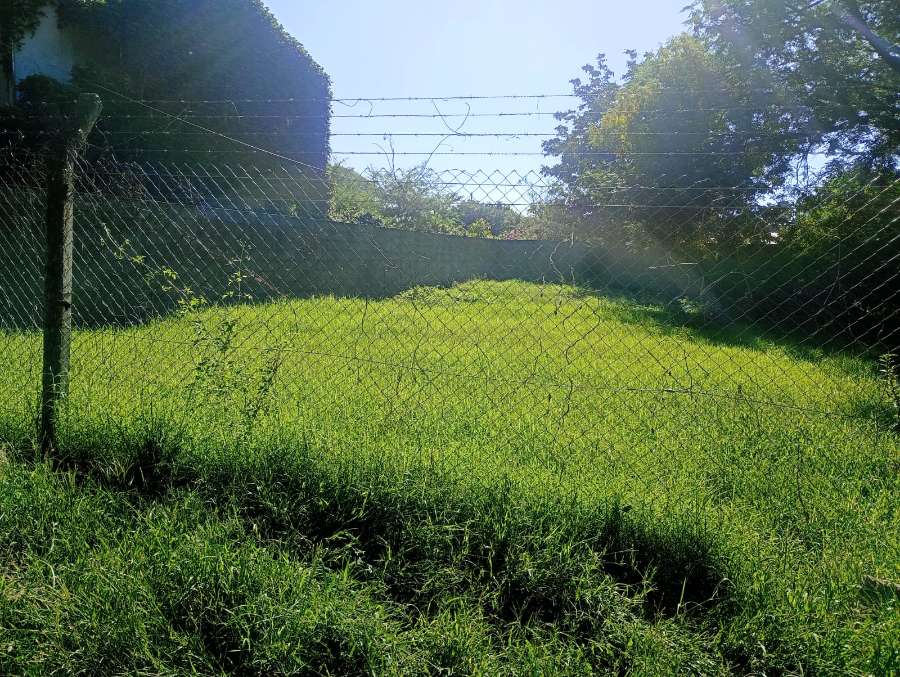 TERRENO EN VENTA VILLA RIVERA INDARTE LOMAS - Imagen 4