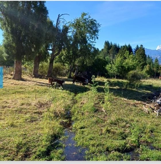 PROPIEDAD PRIVADA-CHACRA EN TREVELIN - Imagen 1