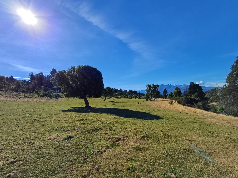 PROPIEDAD PRIVADA-CHACRA EN TREVELIN - Imagen 3