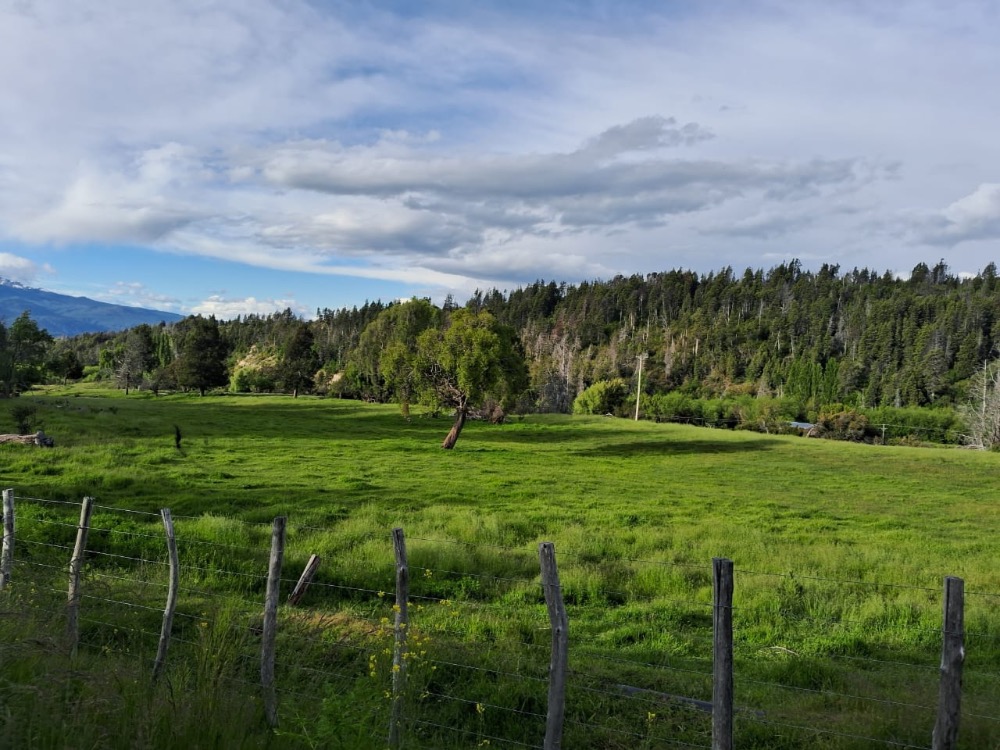 PROPIEDAD PRIVADA-CHACRA EN TREVELIN - Imagen 4