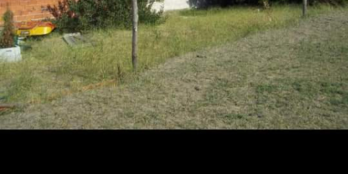 Local en Venta en Santa Teresita con 200 m2 cubiertos - imagen 5