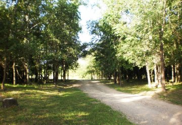 Terreno en Venta en Villa General Belgrano con 24.821 m² de lote - Imagen 3