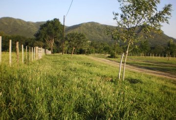 Terreno en Venta en Villa General Belgrano con 24.821 m² de lote - Imagen 2