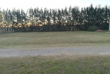 Terreno en Venta en San Pedro con frente 34 m y largo 33 m - Imagen 5