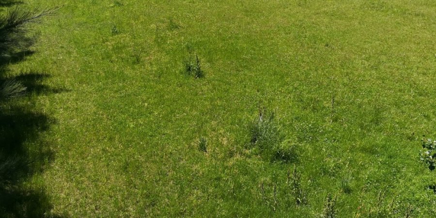 Terreno en Venta en San Pedro con 1.100 m2 de terreno - imagen 6