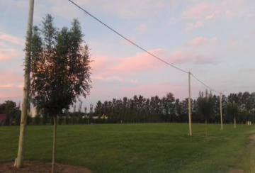 Casa en Venta en San Pedro · dueño directo · 1,1 m² de lote - Imagen 3
