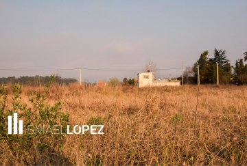 Terreno en Venta en La Plata con frente 12 m y largo 29,23 m - Imagen 3