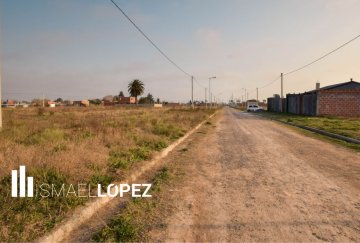 Terreno en Venta en La Plata con frente 12 m y largo 29,23 m - Imagen 1