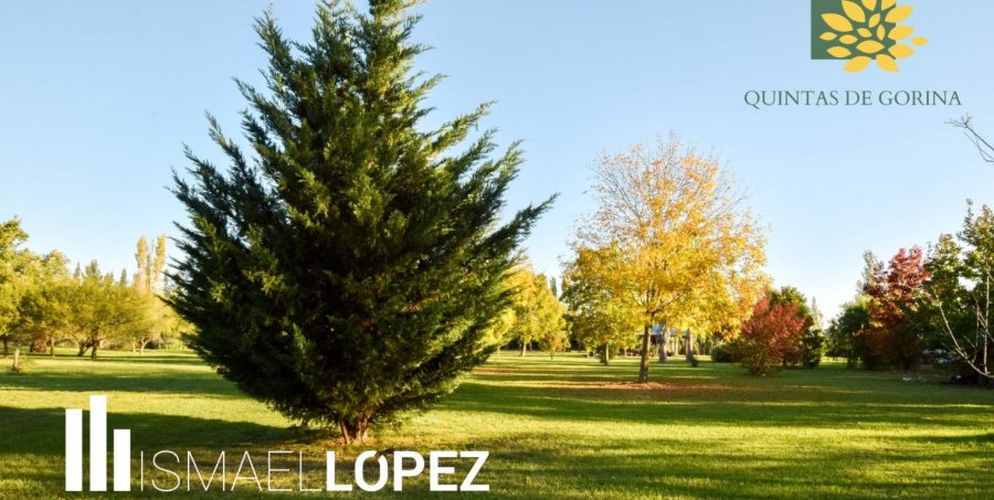 Terreno en Venta en La Plata con 400 m2 de terreno - imagen 4