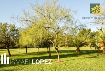 Terreno en Venta en La Plata con frente 20 m y largo 20 m - Imagen 3