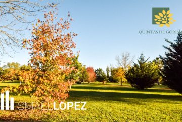 Lote en Venta Calle 483 (joaquín Gorina), La Plata - Imagen 6