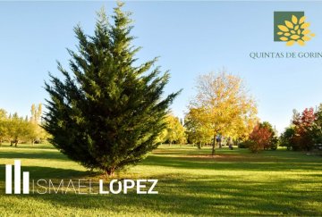 Terreno en Venta en La Plata con frente 20 m y largo 20 m - Imagen 4