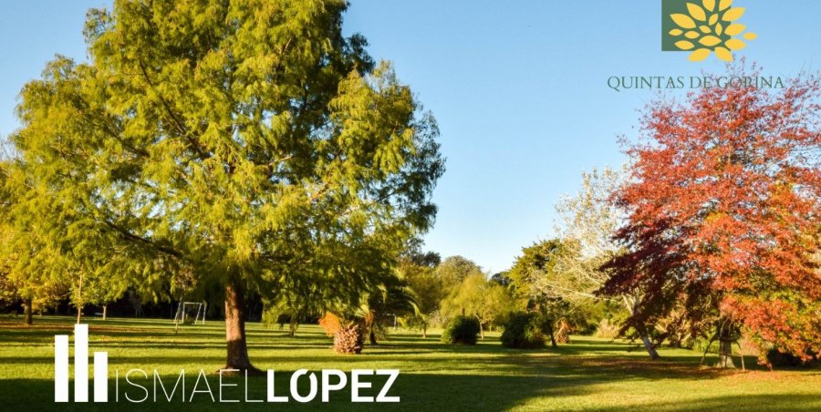 Terreno en Venta en La Plata con 400 m2 de terreno - imagen 8