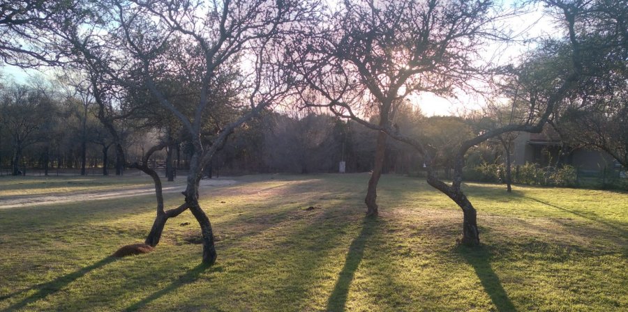 Terreno en Venta en Villa General Belgrano con 800 m2 de terreno - imagen 4
