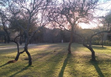 Terreno en Venta en Villa General Belgrano con frente 30 m y largo 27 m - Imagen 4